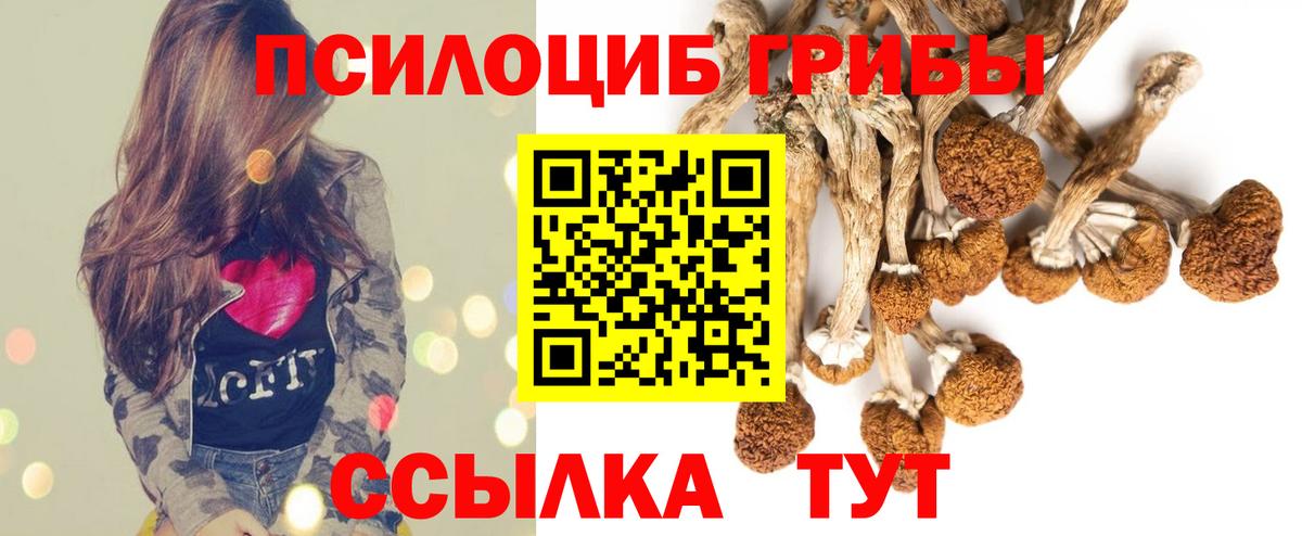 Галлюциногенные грибы Psilocybine cubensis Тавда