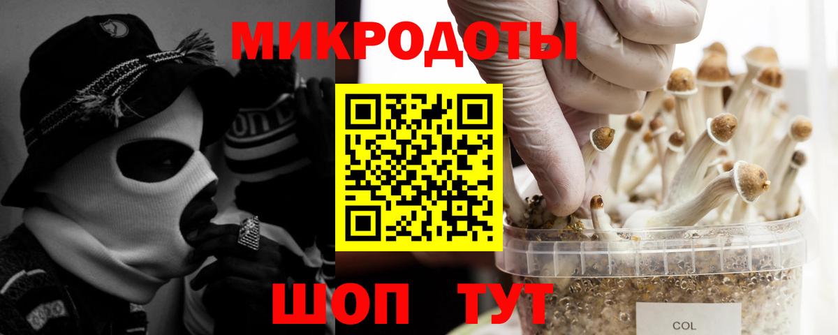 Тавда  магазин продажи   Вход с VPN  Галлюциногенные грибы мицелий 